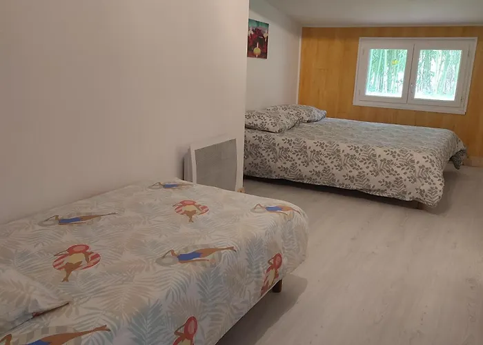 Hébergement de vacances Le Du Moulin De Pontalaman *